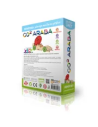 CO2 Araba